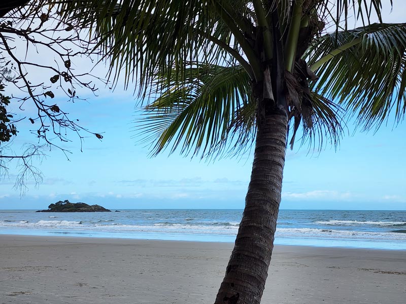 Your guide to Thornton Beach » Daintree Coast