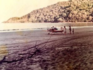 Plane Landed Cow Bay Beach byDman-Dan