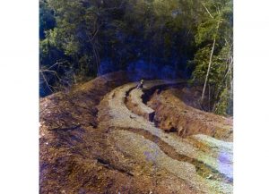 The beginning of the Bloomfield Track
