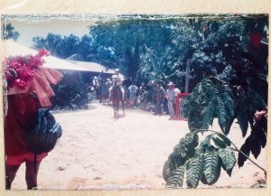 Cape Trib Cup - Horse Race Event 90s