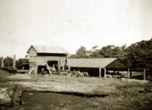 Cape Trib Mill