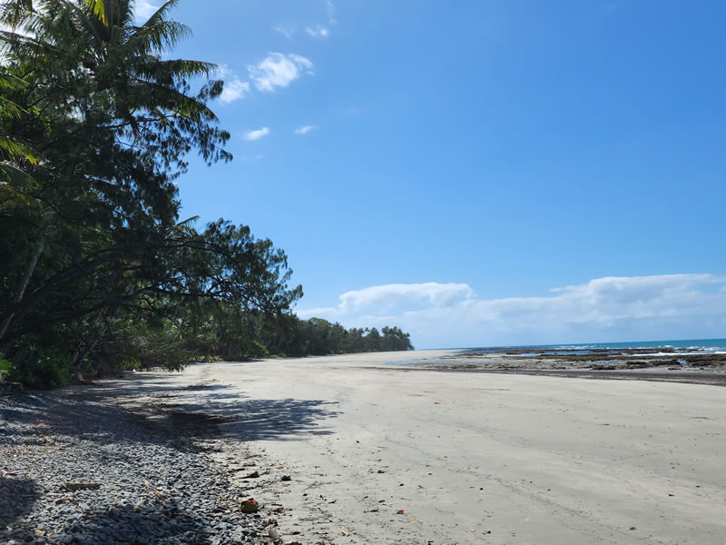 Coconut Beach » Daintree Coast