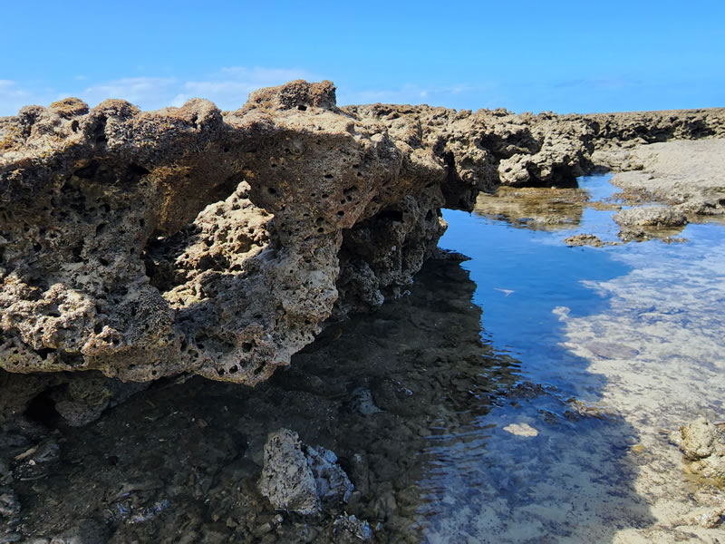 Exposed reef at low tide