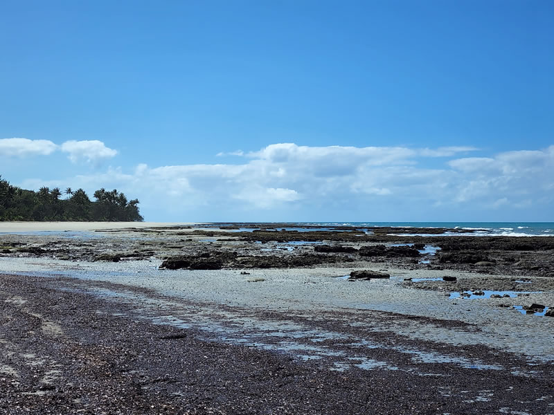 Coconut beach and exposed reef at low tide