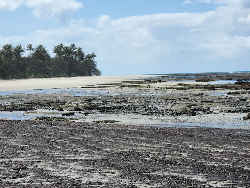 Coconut beach and exposed reef at low tide