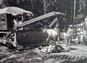 Daintree Blockade 1983-4 at Cape Tribulation