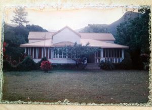 Masons Cape Tibulation 90s