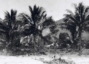 Original House at Myall Ck