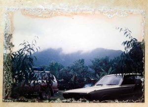 Pks Cape Tribulation 90s