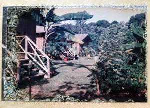 Pks Cape Tribulation 90s