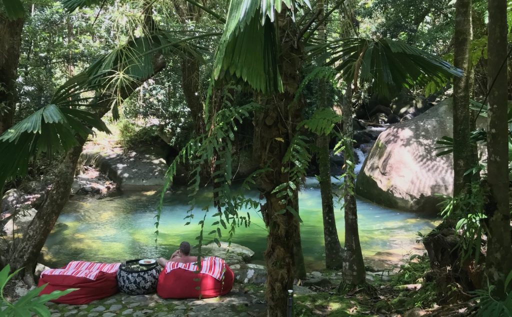 Daintree Secrets Rainforest Sanctuary