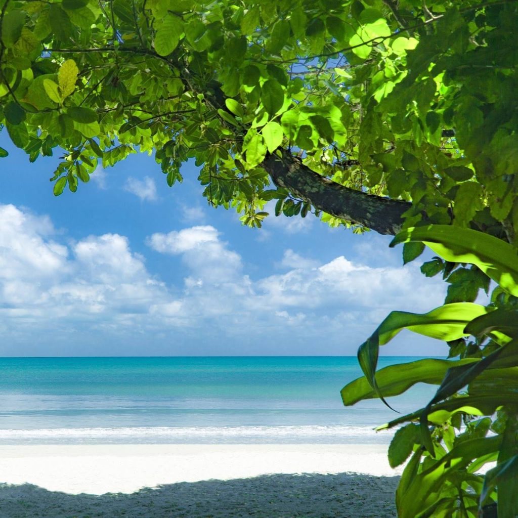 mist at Cape Tribulation