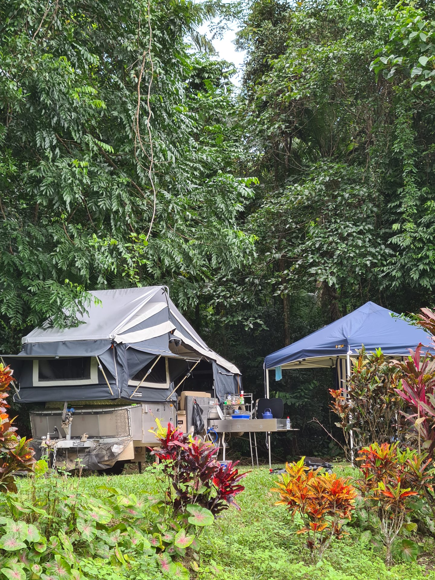 safari tents daintree rainforest