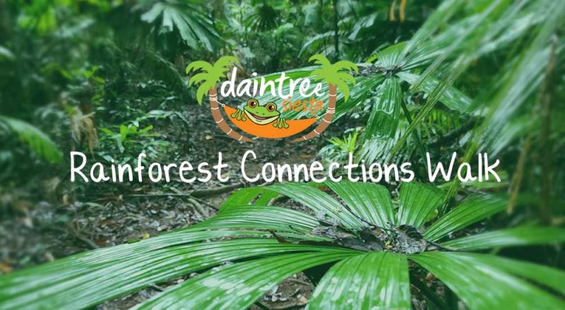 Rainforest Connections Walk